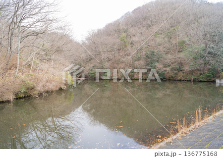 辻の新池(大阪府大東市の飯盛山) 辻の新池(大阪府大東市の飯盛山) 136775168
