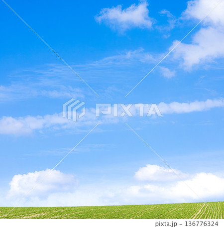 爽やかな青空が広がる初夏の北海道の風景 爽やかな青空が広がる初夏の北海道の風景 136776324