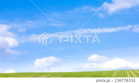 爽やかな青空が広がる初夏の北海道の風景 136776332