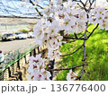 桜のある風景 136776400