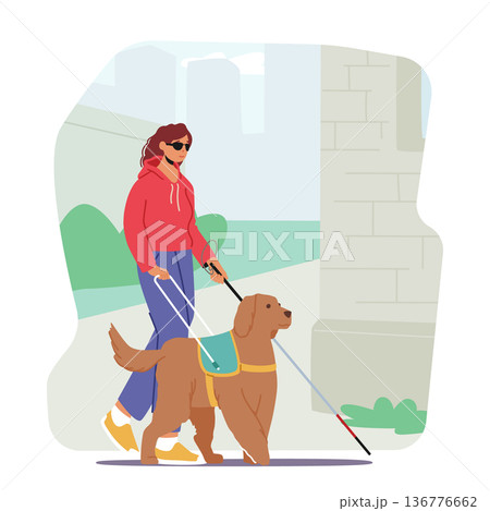 Blind Female Character With A Guide Dog Walks Confidently Down The Street, With Walking Cane and Dog Leading The Way 136776662