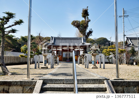 國府八幡神社(拝殿)　【大阪府藤井寺市】 136777511