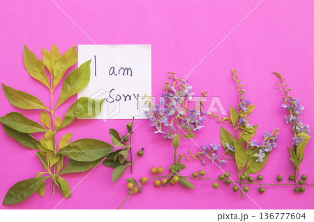 i am sorry message card handwriting with purple flowers i am sorry message card handwriting with purple flowers 136777604