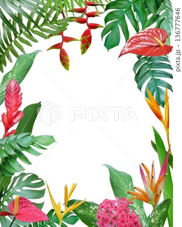 Tropical summer flowers arrangement isolated on white background Tropical summer flowers arrangement isolated on white background 136777646