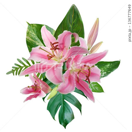 Pink lily wedding floral bouquet with tropical leaves isolated on white background. Pink lily wedding floral bouquet with tropical leaves isolated on white background. 136777649