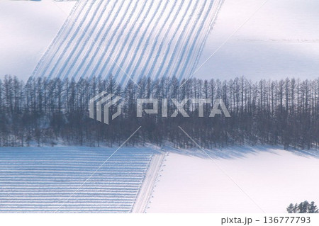 空からの十勝平野 136777793