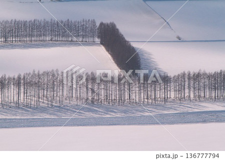 空からの十勝平野 136777794
