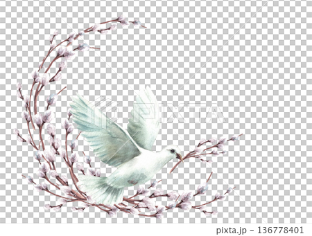 Flowering willow branches Pigeon with twig in its beak. White flying dove bird, symbol of peace. Watercolor wreath hand drawn illustration. Semicircular card for Palm Sunday, religion Easter. Isolated Flowering willow branches Pigeon with twig in its beak. White flying dove bird, symbol of peace. Watercolor wreath hand drawn illustration. Semicircular card for Palm Sunday, religion Easter. Isolated 136778401