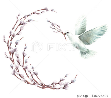 Watercolor willow branches wreath with white Pigeon with twig in beak. Flying dove bird, symbol of peace, religion. Hand drawn isolated from background illustration for Palm Sunday, Easter, baptism. 136778405