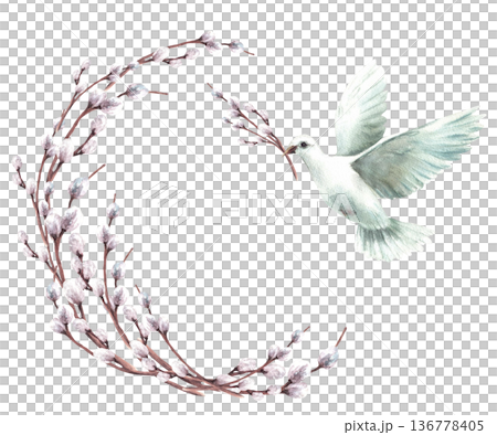 Watercolor willow branches wreath with white Pigeon with twig in beak. Flying dove bird, symbol of peace, religion. Hand drawn isolated from background illustration for Palm Sunday, Easter, baptism. 136778405