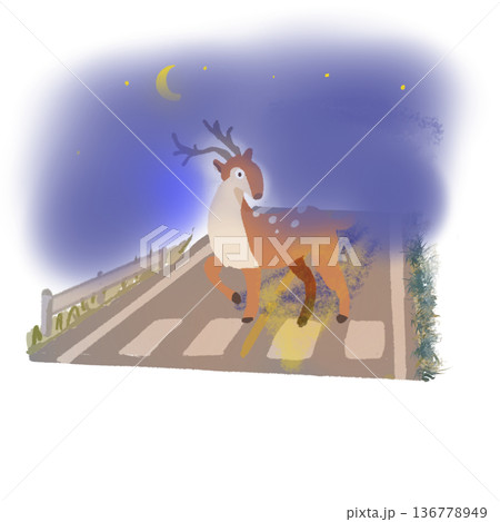 夜の山道に現れた鹿 夜の山道に現れた鹿 136778949