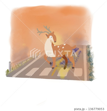 夕焼けの山道に現れた鹿 夕焼けの山道に現れた鹿 136779053