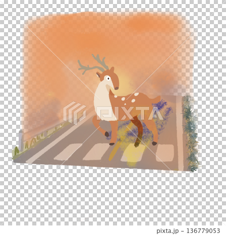 A deer appears on a mountain path at sunset A deer appears on a mountain path at sunset 136779053