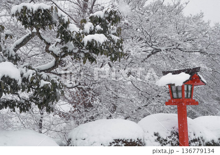 冬のイメージ 雪景色 冬のイメージ 雪景色 136779134