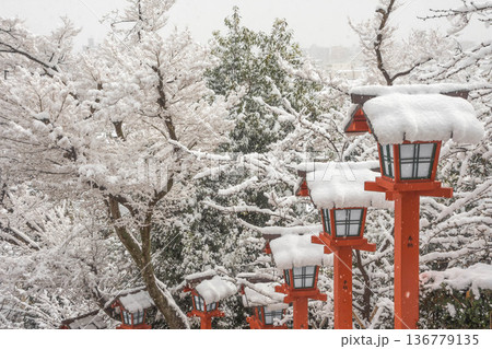 冬のイメージ 雪景色 冬のイメージ 雪景色 136779135