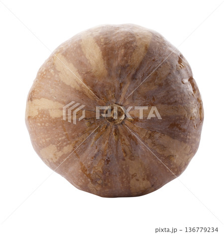 Pumpkin Butternut Squash isolated on a white background Pumpkin Butternut Squash isolated on a white background 136779234