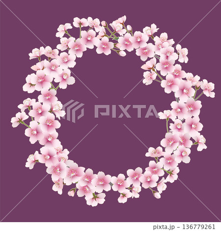 桜の花のリース(赤紫背景) 桜の花のリース(赤紫背景) 136779261