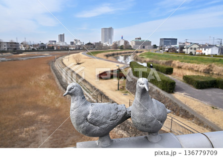 越谷散歩・しらこばと橋より元荒川と瓦曽根溜井 越谷市相模町 越谷散歩・しらこばと橋より元荒川と瓦曽根溜井 越谷市相模町 136779709