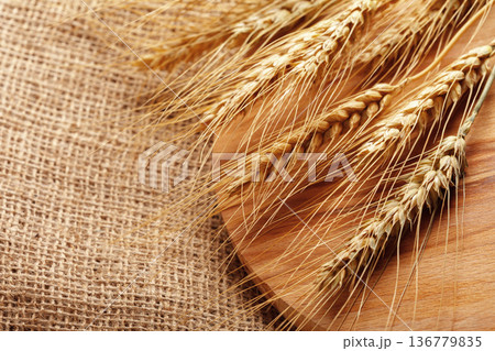 Wheat stalks laid on a wooden board with burlap fabric as background 136779835