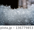 東京の雪 東京の雪 136779853