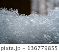 東京の雪 東京の雪 136779855