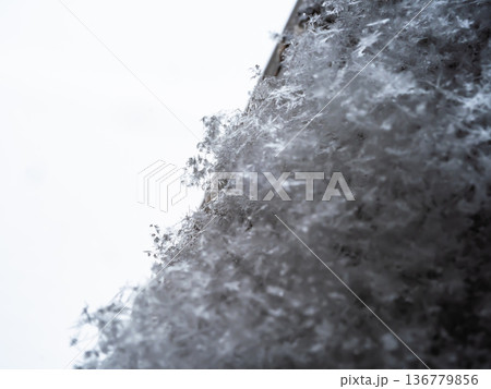 東京の雪 136779856