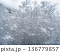 東京の雪 東京の雪 136779857