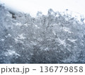 東京の雪 東京の雪 136779858