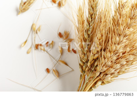 Wheat stalks and grains arranged on a white surface in a natural setting 136779863