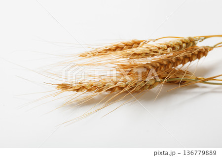 Wheat stalks placed on a plain surface, showcasing the natural structure at close range 136779889