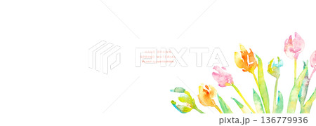 水彩画。水彩タッチのチューリップ背景。チューリップの春背景ベクターイラスト。 136779936