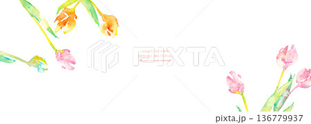 水彩画。水彩タッチのチューリップ背景。チューリップの春背景ベクターイラスト。 136779937