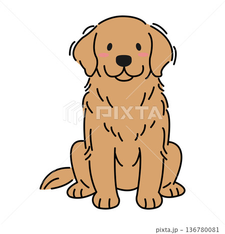 お座りするゴールデンレトリバー お座りするゴールデンレトリバー 136780081