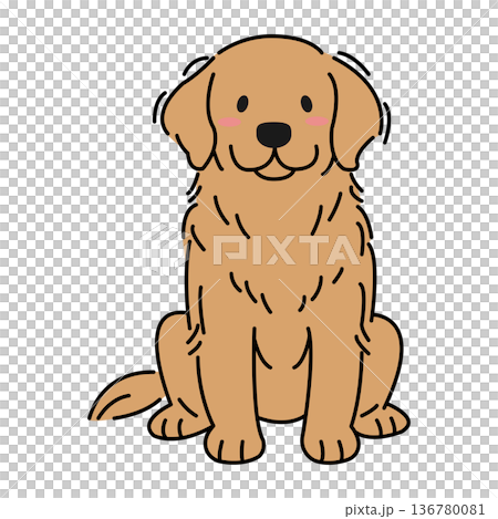お座りするゴールデンレトリバー お座りするゴールデンレトリバー 136780081