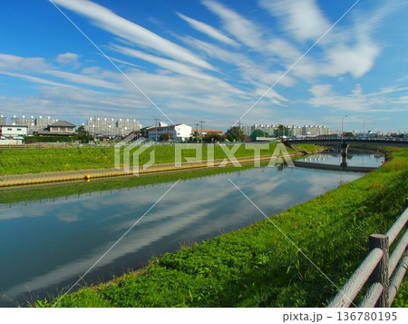 風のない秋の朝の坂川放水路風景 136780195