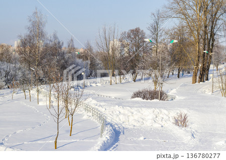 A winter scene with trees covered in hoarfrost under a clear blue sky. 136780277