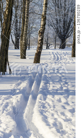 A winter scene with trees covered in hoarfrost under a clear blue sky. A winter scene with trees covered in hoarfrost under a clear blue sky. 136780289
