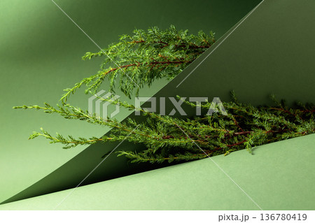 Juniper branches on a green background. Juniper branches on a green background. 136780419