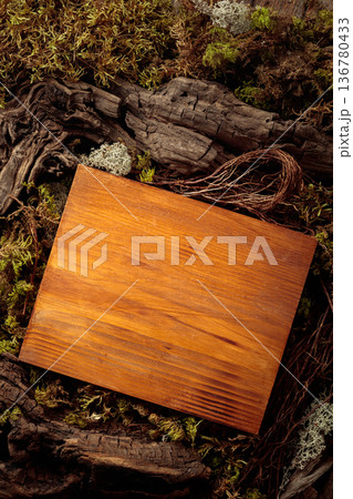 Abstract natural composition featuring lichen, moss, and dry snags. Abstract natural composition featuring lichen, moss, and dry snags. 136780433