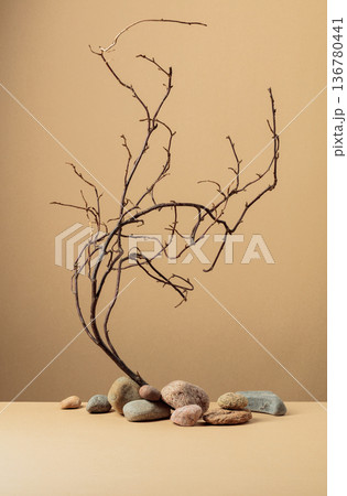 An intricately entwined branches and smooth stones against a beige background. 136780441