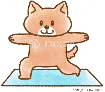 ヨガのポーズをする前を向いた犬 136780853