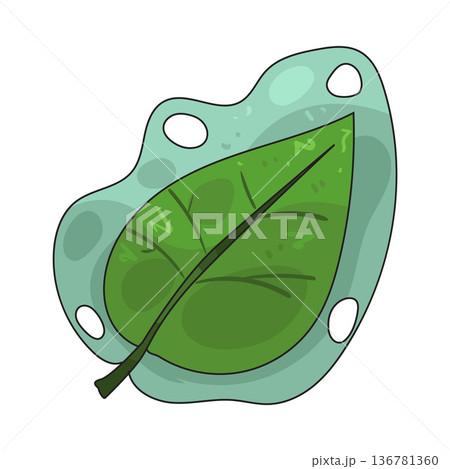 Illustration of leaf Illustration of leaf 136781360