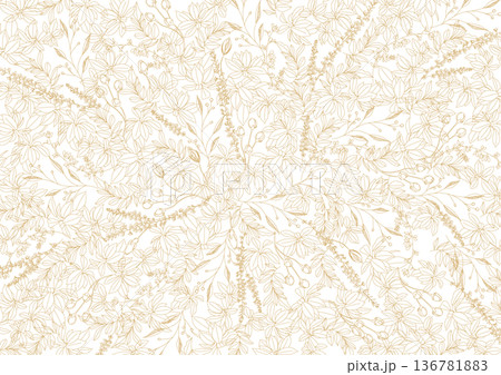 美しい植物のボタニカル背景素材　線画、ナチュラル 136781883