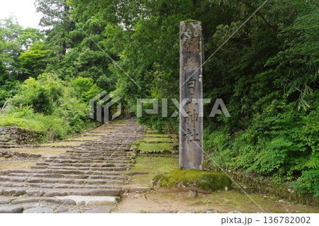 平泉寺白山神社 精進坂 平泉寺白山神社 精進坂 136782002