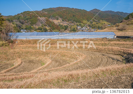 明日香村の景勝地 阪田の棚田 奈良県 明日香村の景勝地 阪田の棚田 奈良県 136782015
