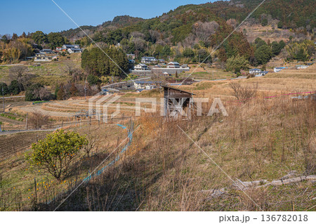 明日香村の景勝地　阪田の棚田　奈良県 136782018