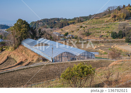 明日香村の景勝地　阪田の棚田　奈良県 136782021