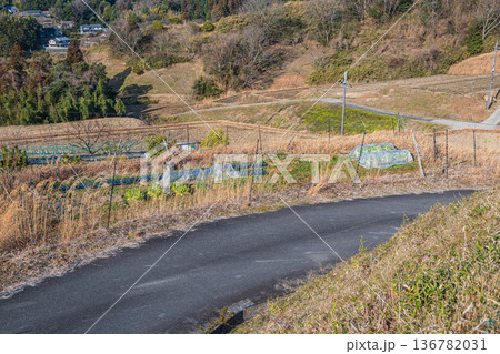 明日香村の景勝地　阪田の棚田　奈良県 136782031