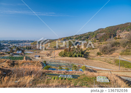 明日香村の景勝地　阪田の棚田　奈良県 136782036
