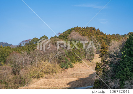 明日香村の景勝地　阪田の棚田　奈良県 136782041